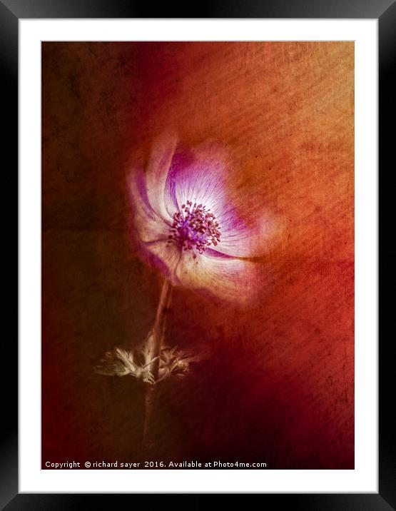 Abstract Anemone Framed Mounted Print by richard sayer