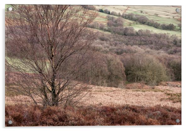 Autumn colour below Coombes edge Acrylic by Andrew Kearton