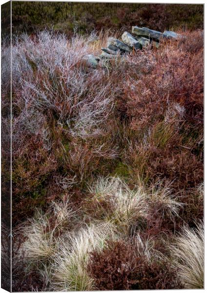 Textures in a moorland landscape Canvas Print by Andrew Kearton