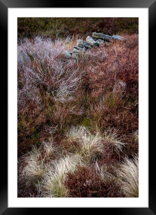Textures in a moorland landscape Framed Mounted Print by Andrew Kearton