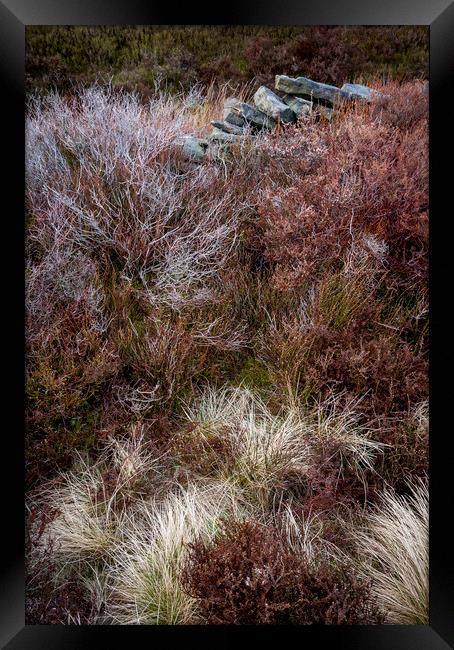 Textures in a moorland landscape Framed Print by Andrew Kearton