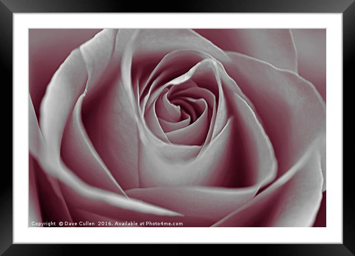 Shades of Grey Framed Mounted Print by Dave Cullen