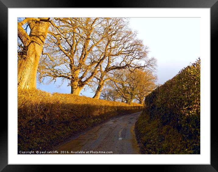 the lane Framed Mounted Print by paul ratcliffe