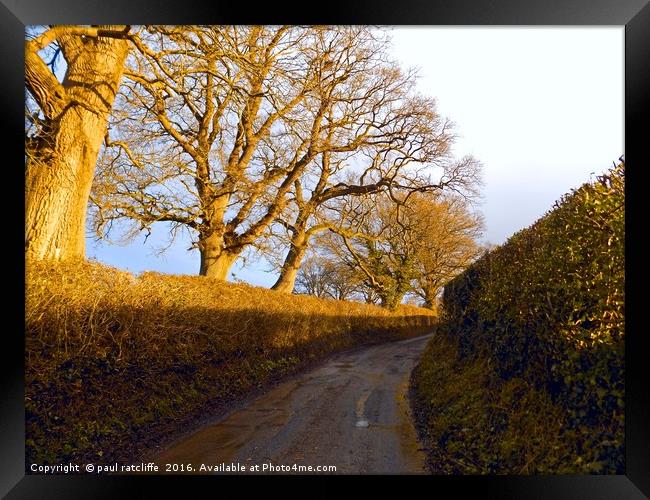 the lane Framed Print by paul ratcliffe