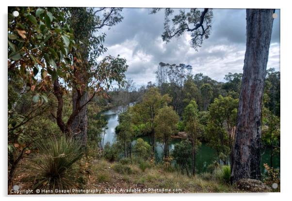 The Collie River Reflections Acrylic by Hans Goepel Photographer