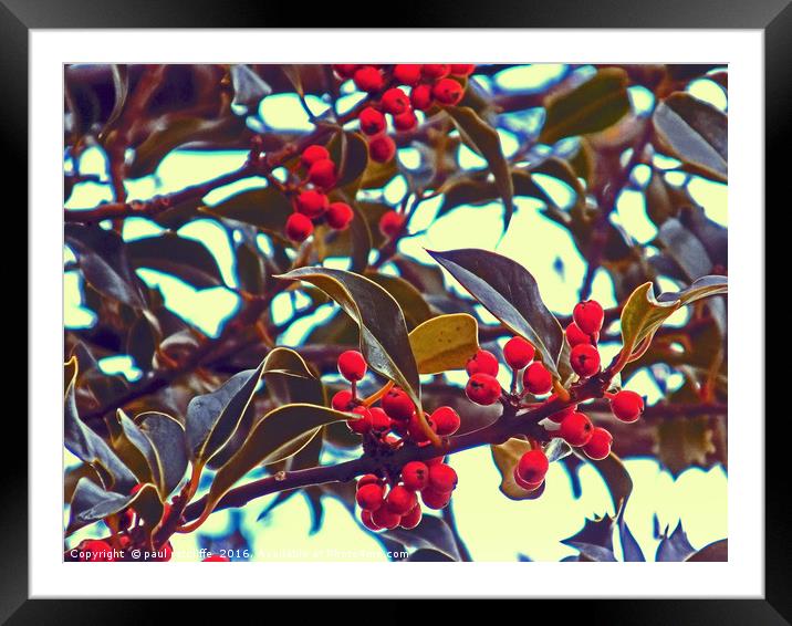 berries Framed Mounted Print by paul ratcliffe