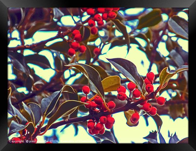 berries Framed Print by paul ratcliffe