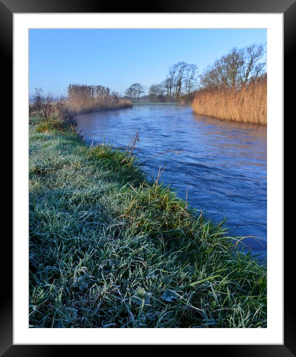Frosty morning by the river Framed Mounted Print by Shaun Jacobs