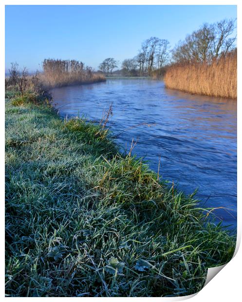 Frosty morning by the river Print by Shaun Jacobs