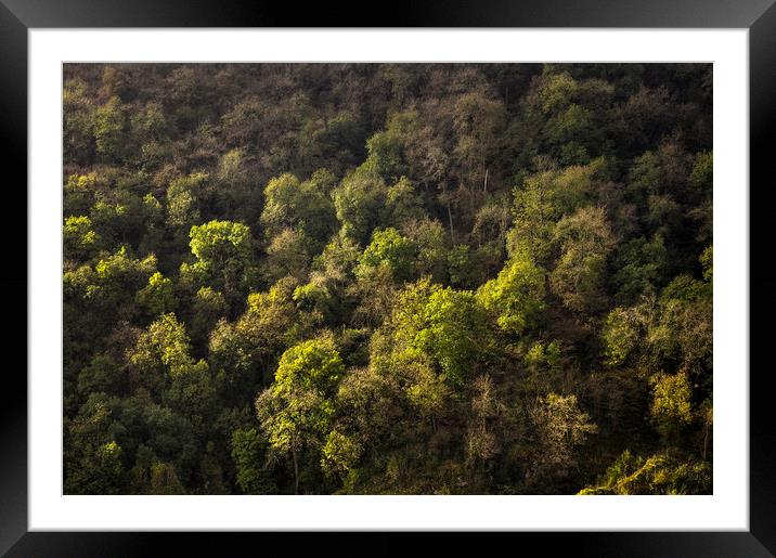 Wooded slopes of Dovedale Framed Mounted Print by Andrew Kearton