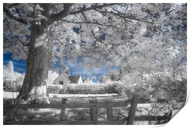 Dream Cottage 2 - Infrared Print by Ann Garrett