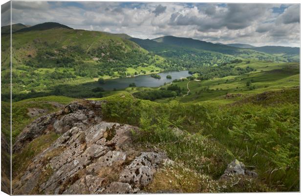 Rydal water from Loughrigg fell Canvas Print by Eddie John