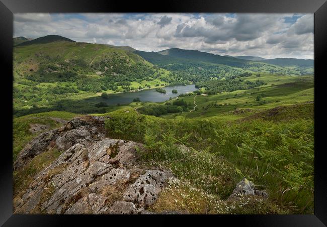 Rydal water from Loughrigg fell Framed Print by Eddie John