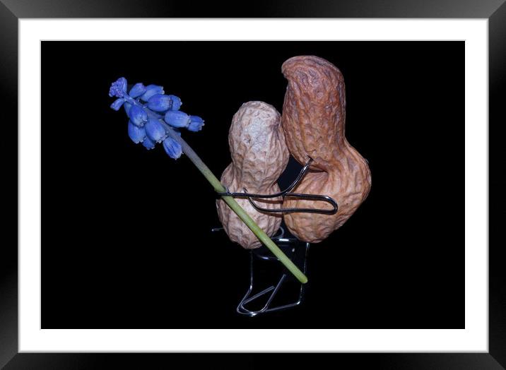 A little Valentine gift.... Framed Mounted Print by JC studios LRPS ARPS