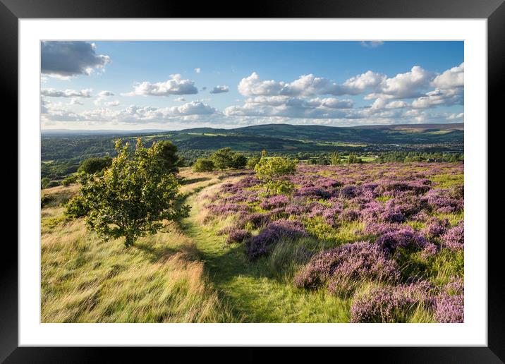 Summer in Charlesworth, Derbyshire Framed Mounted Print by Andrew Kearton