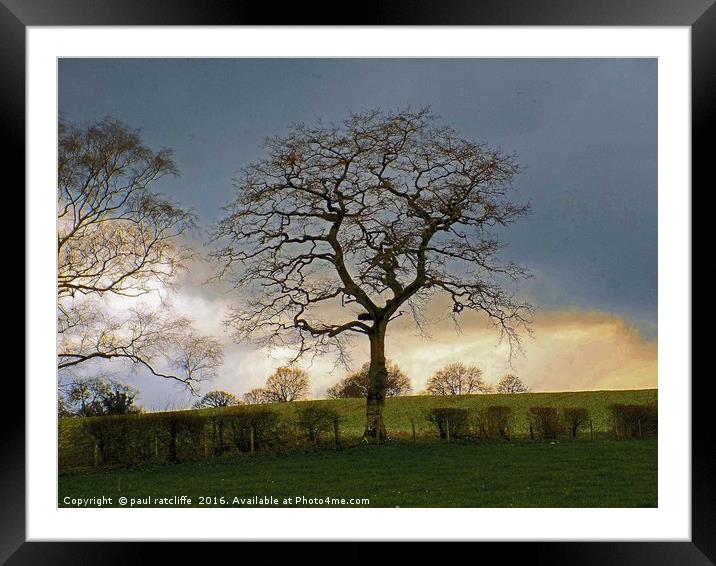 apostle tree Framed Mounted Print by paul ratcliffe