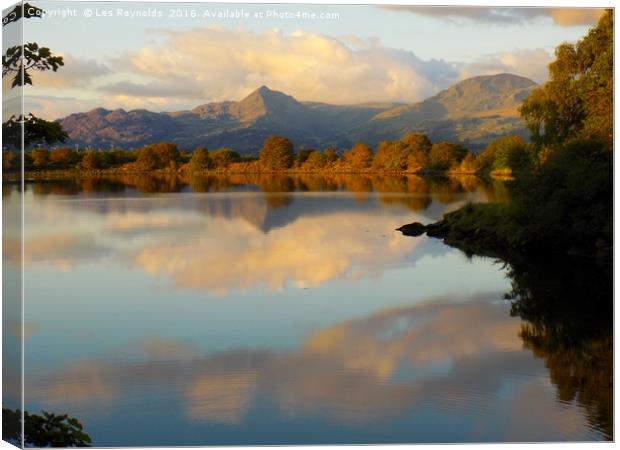  Snowdonia Mountain Range Cnicht and Moelwyn Mawr Canvas Print by Les Reynolds