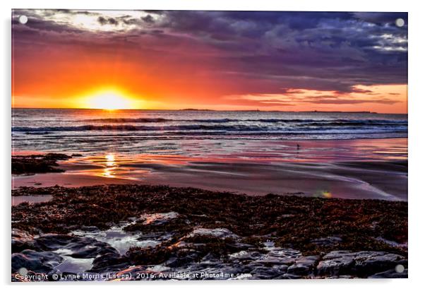 Sunrise at Bamburgh Acrylic by Lynne Morris (Lswpp)