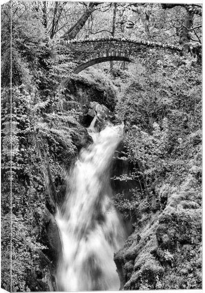 Aira Force Canvas Print by Paul Cullen