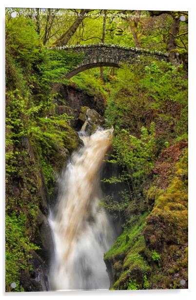 Aira Force Acrylic by Paul Cullen