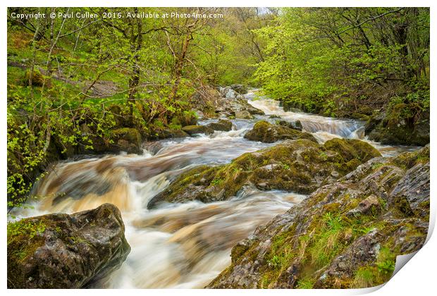 Aira Force Print by Paul Cullen