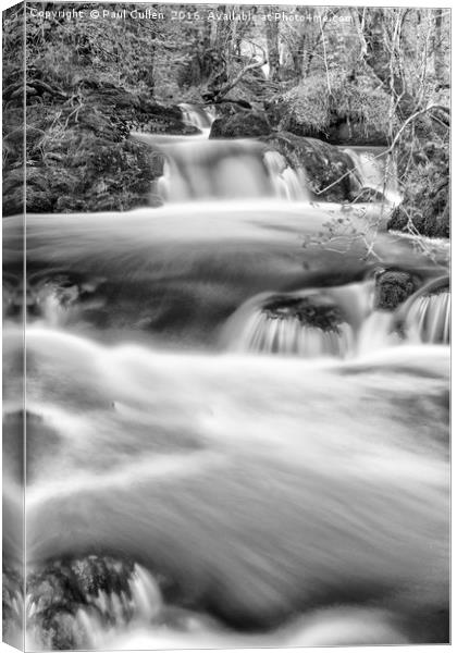 Aira Force Canvas Print by Paul Cullen