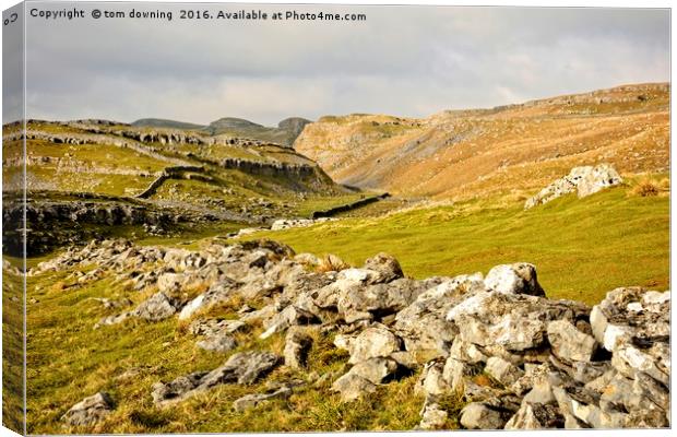 Malham Cove  view Canvas Print by tom downing