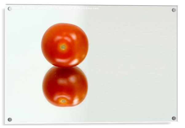 Tomato Acrylic by Claire Castelli
