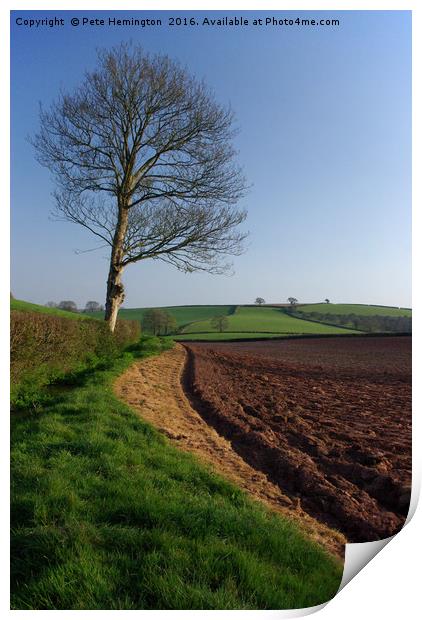 Rural Mid Devon Print by Pete Hemington