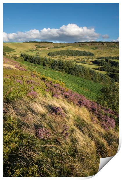Coombes edge in summer Print by Andrew Kearton