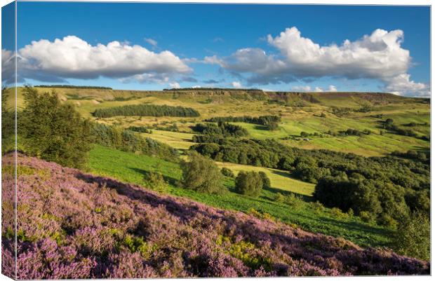 Colourful Coombes, Charlesworth, Derbyshire Canvas Print by Andrew Kearton