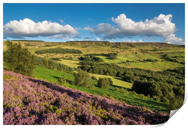 Colourful Coombes, Charlesworth, Derbyshire Print by Andrew Kearton
