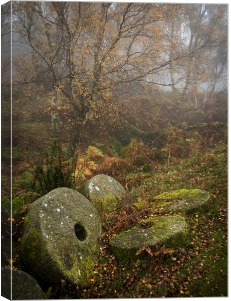 Millstones in the autumn woods Canvas Print by Andrew Kearton