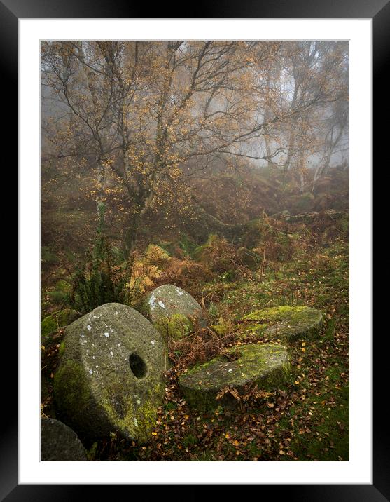 Millstones in the autumn woods Framed Mounted Print by Andrew Kearton