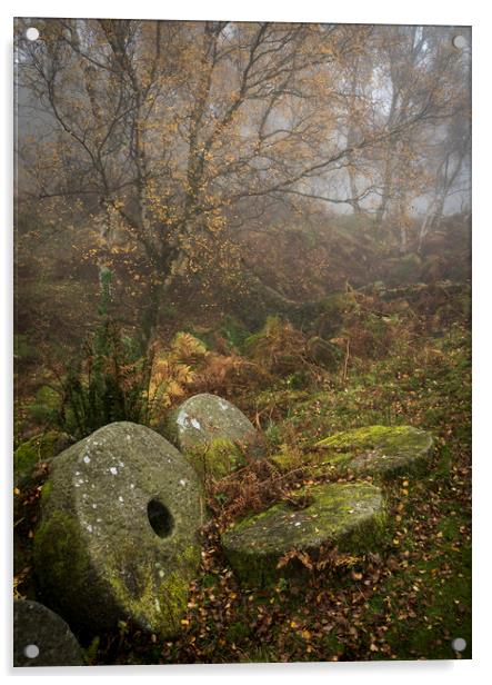 Millstones in the autumn woods Acrylic by Andrew Kearton