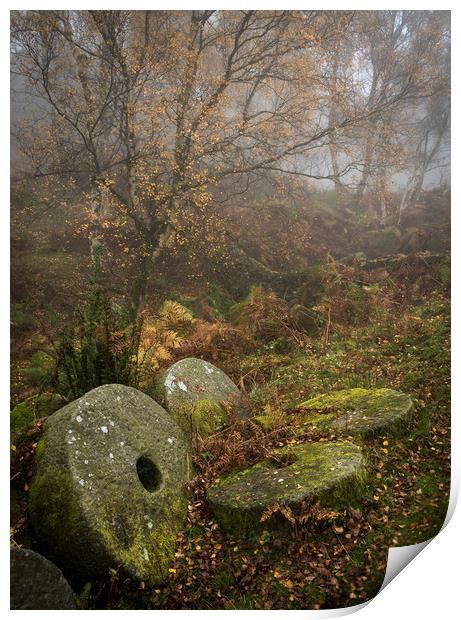 Millstones in the autumn woods Print by Andrew Kearton
