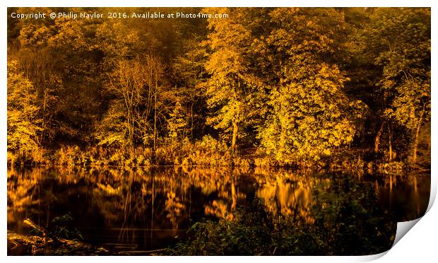 The river wear reflections by night Print by Naylor's Photography