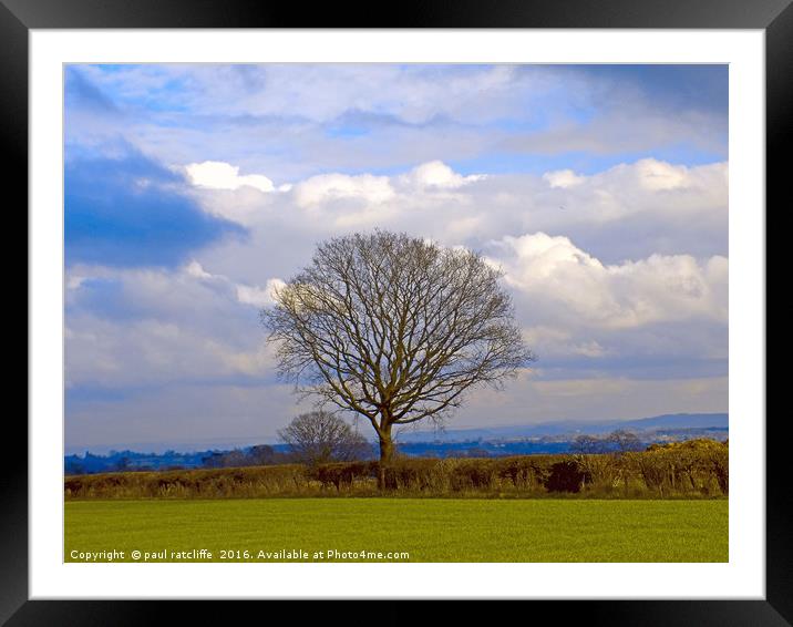 lone tree Framed Mounted Print by paul ratcliffe