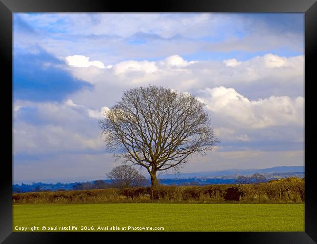 lone tree Framed Print by paul ratcliffe