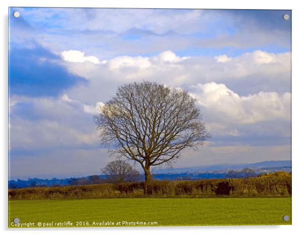 lone tree Acrylic by paul ratcliffe