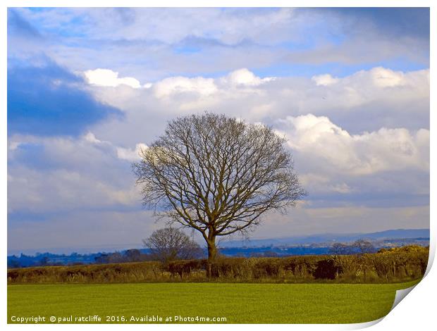 lone tree Print by paul ratcliffe