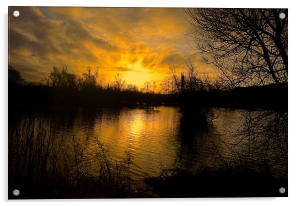  Early Morning Sunrise                             Acrylic by Sue Bottomley