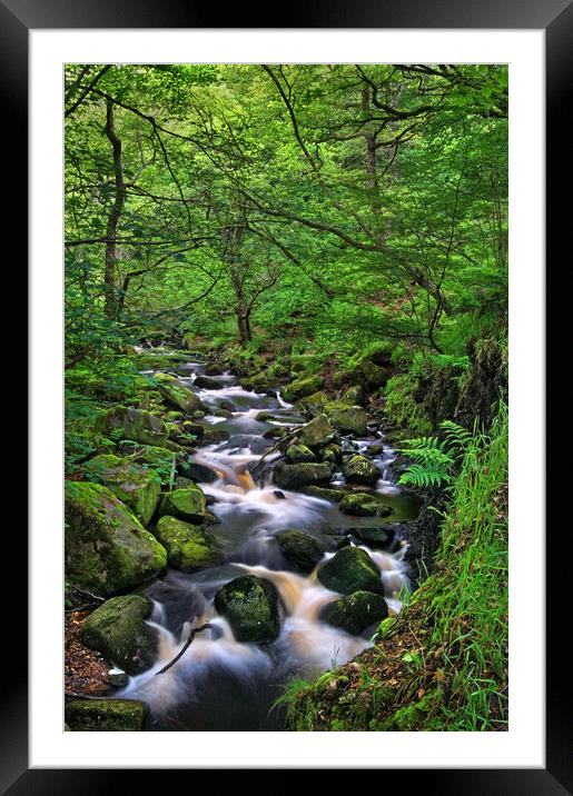 Looking Down Padley Gorge Framed Mounted Print by Darren Galpin