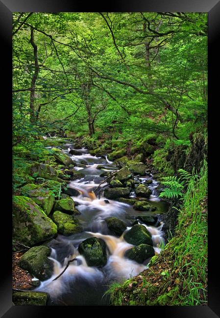 Looking Down Padley Gorge Framed Print by Darren Galpin