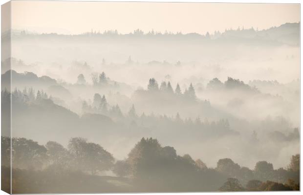 Layers of fog in the valley at sunrise. Troutbeck, Canvas Print by Liam Grant