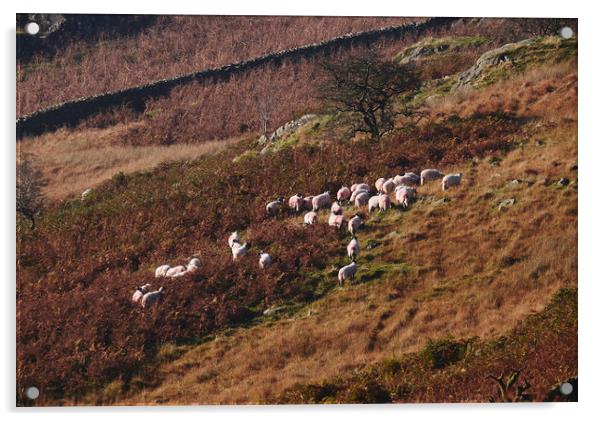 Sheep on the hillside. Kirkstone, Cumbria, UK. Acrylic by Liam Grant