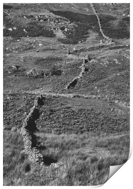 Drystone wall on a hillside. Cumbria, UK Print by Liam Grant
