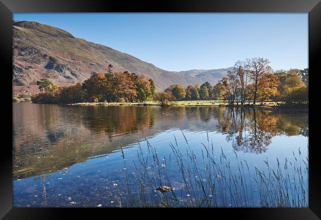 Reflections and autumnal colour. Ullswater, Cumbri Framed Print by Liam Grant