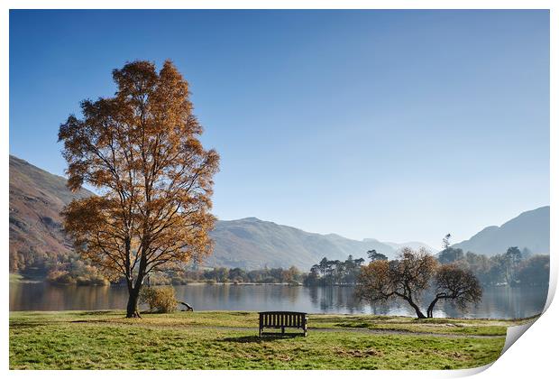Bench and autumnal colour. Ullswater, Cumbria, UK. Print by Liam Grant