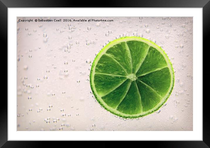 Fresh lime Framed Mounted Print by Sebastien Coell